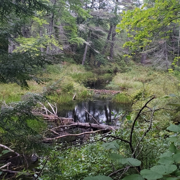 🌹Live with LoVe🌹 - Picture 10 of 10